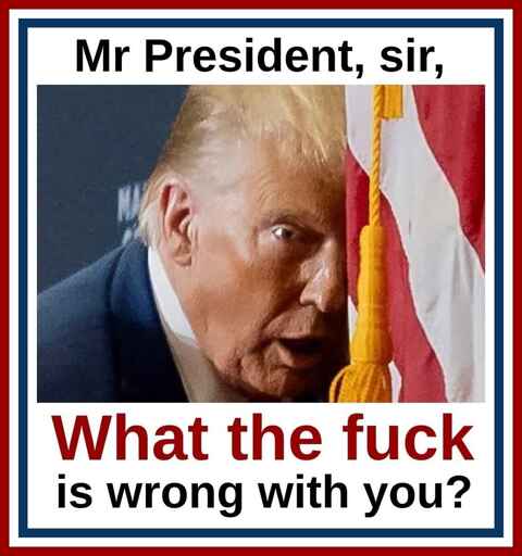Mr President, sir... WHAT THE FUCK IS WRONG WITH YOU?