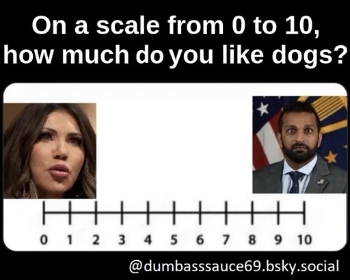 On a scale from zero (Kristi Noem) to ten (Kash Patel), how much do you like dogs?
